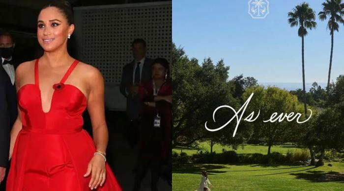 Meghan Markle's brand under fire, supporters say criticism is 'clouded narrative'