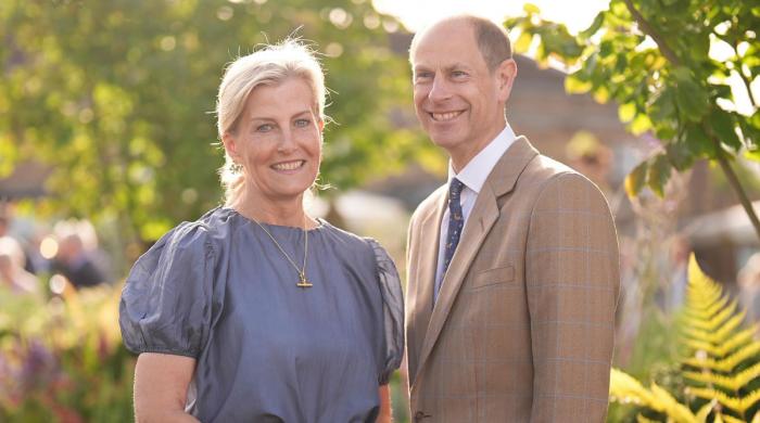 Sophie, Edward ‘reclaim' public favour after new report sent shockwaves