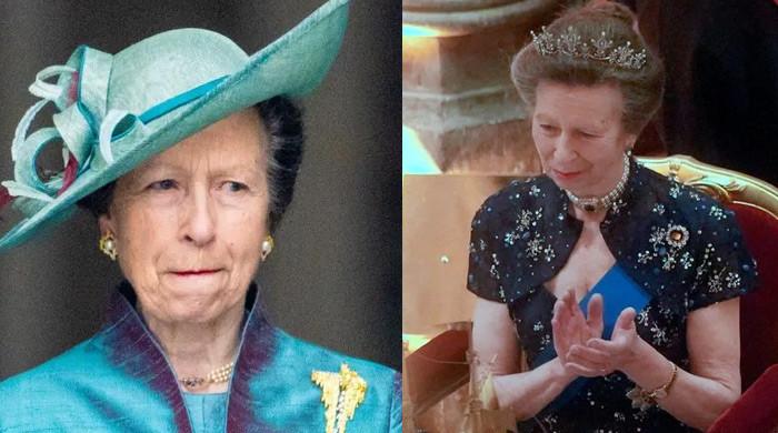 Princess Anne shocks fans With brutal truth about herself
