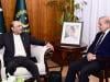 PML-N, PPP agree on fiscal deal without formally touching NFC, BISP: cabinet source