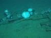 World's largest whale graveyard discovered by Chinese sub
