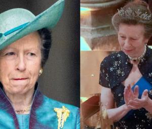 Princess Anne shocks fans With brutal truth about herself