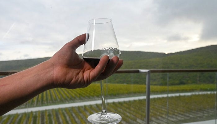 A visitor holds a wineglass outside the Black Sea resort of Anapa in the Krasnodar region, Russia. — Reuters/File