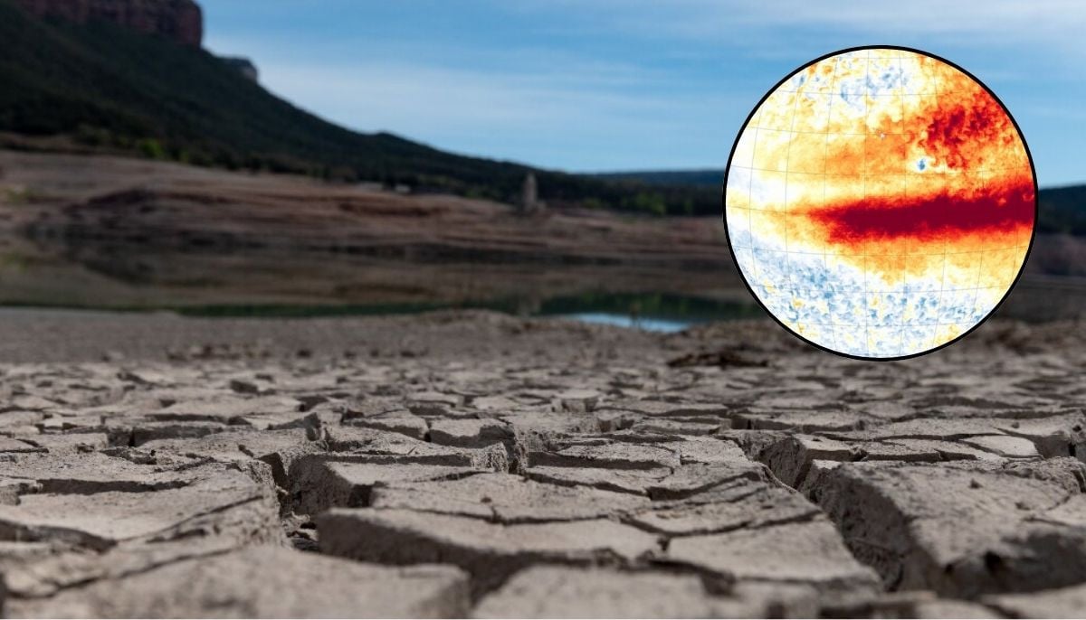 Super El Niño is officially here: What to expect next?