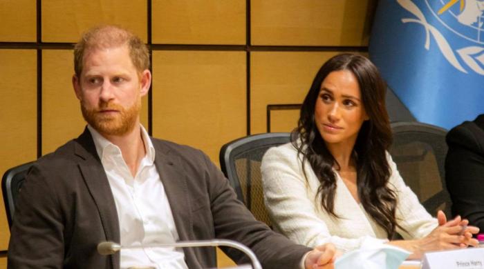 Prince Harry, Meghan hit back after Princess Kate sister marks security win