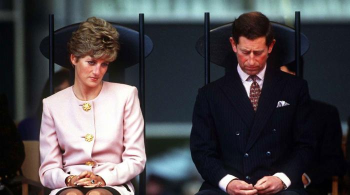 Princess Diana declined major offer just year before King Charles divorce
