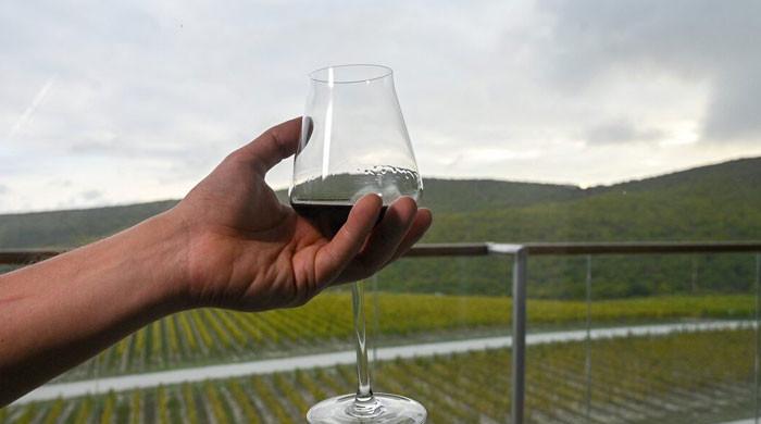 'Alcohol consumption to decline globally despite rising demand in India'