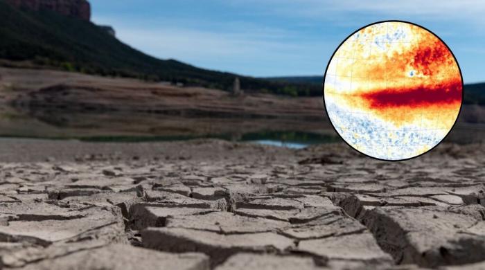 Super El Niño is officially here: What to expect next?