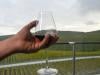'Alcohol consumption to decline globally despite rising demand in India'
