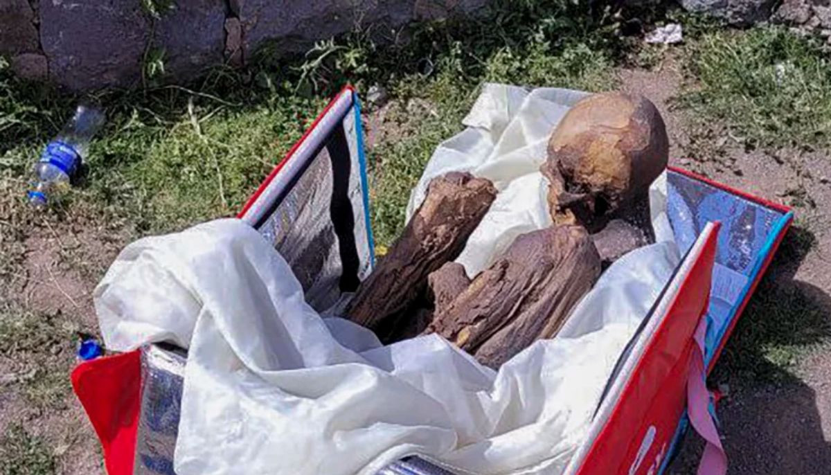Who was in sleeping bag? Remains discovered at Olympic National park finally identified