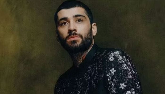 Zayn Malik reveals secret passion: ‘so nerdy and so rad’