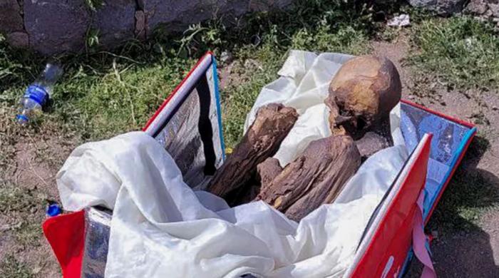 Who was in sleeping bag? Remains discovered at Olympic National park finally identified