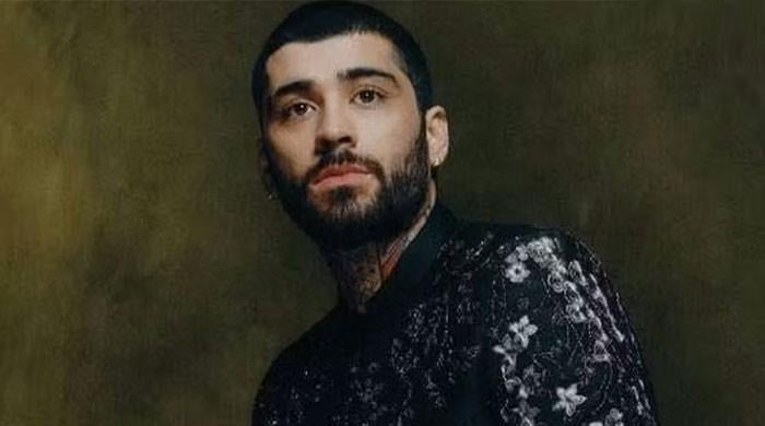 Zayn Malik reveals secret passion: 'So nerdy and so rad'