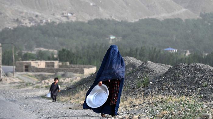 UN experts condemn crackdown on women by Afghan morality police