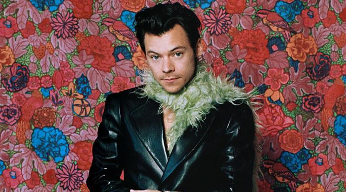 Harry Styles welcomes fans as Meltdown Festival begins