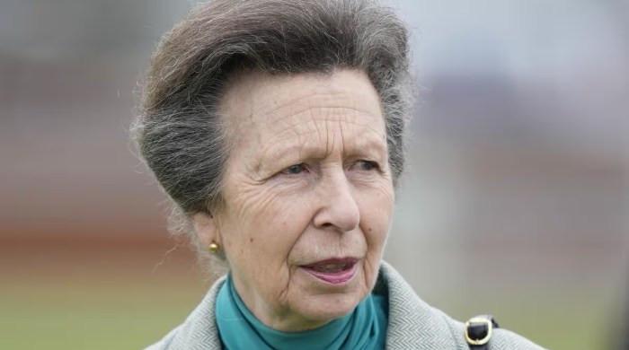 Princess Anne royal mission suffers setback as sad news reaches Palace 