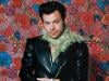 Harry Styles welcomes fans as Meltdown Festival begins