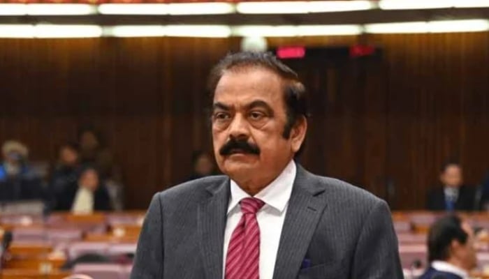PML-N leader Rana Sanaullah speaks in the National Assembly session on December 17, 2024. — X/@NAofPakistan