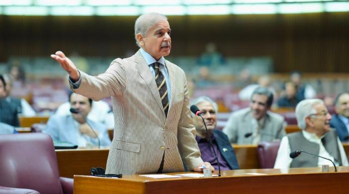 'Charter of democracy': PM Shehbaz once again invites opposition for dialogue