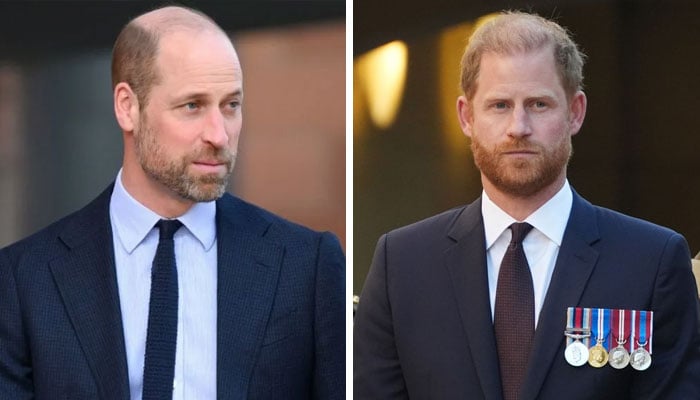 Prince William, Harry forced to into important alliance amid estrangement