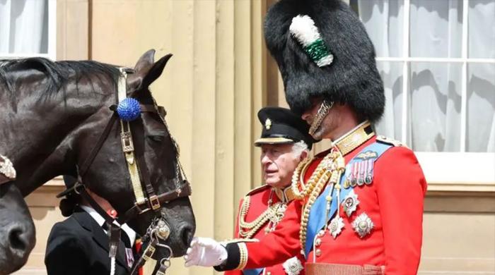 King Charles and Prince William horse around in sweet royal moment