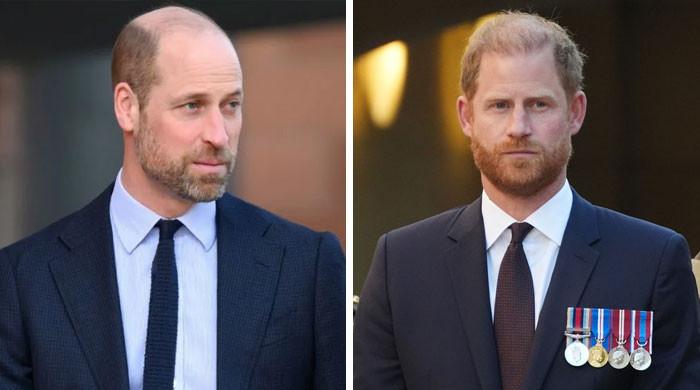 Princes William, Harry forced into important alliance amid estrangement