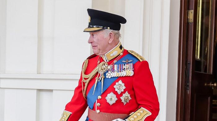 Buckingham Palace lifts the curtain on King's birthday parade with rare pictures