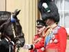 King Charles and Prince William horse around in sweet royal moment