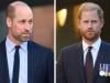Prince William, Harry forced to into important alliance amid estrangement
