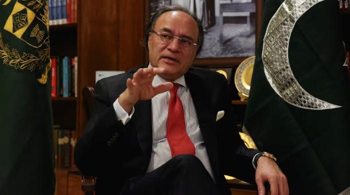 Govt eyes more global bond issues, sees budget upside from Iran deal