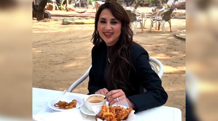 WATCH: US envoy falls in love with Pakistani chai, hospitality and wedding traditions