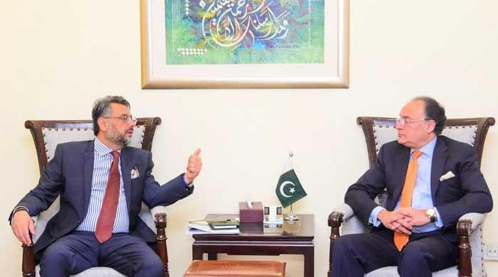 PM to decide on PTI demand linking funds contribution to jailed Imran meeting: FinMin