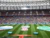 Why does the Saudi flag always stay above grass in FIFA World Cup?
