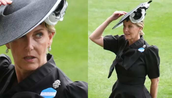 Duchess Sophies gesture to King Charles signals unshaken bond