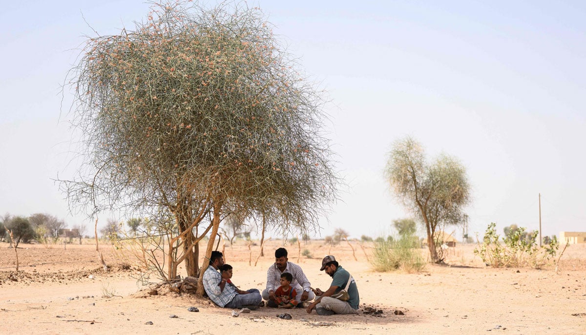 Herdsman Sawai Singh Bhati (centre) sitting with his son under the shade of a tree in 44℃ temperatures, near his house in Sanwata village on the outskirts of Rajasthans Jaisalmer city.— AFP