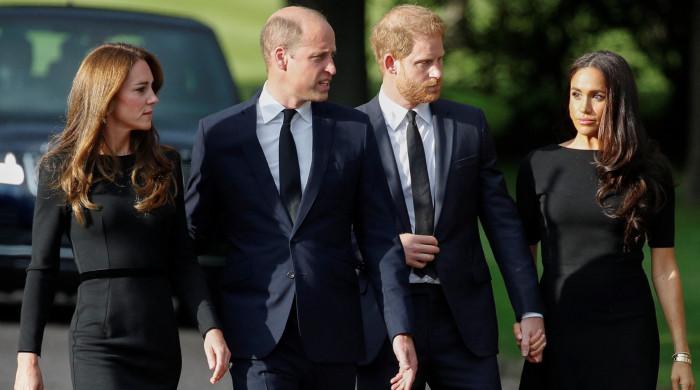 Prince Harry, Meghan Markle deliver 'terrible blow' to William, Kate