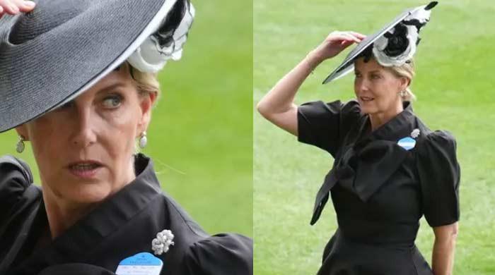 Duchess Sophie's gesture to King Charles signals unshaken bond