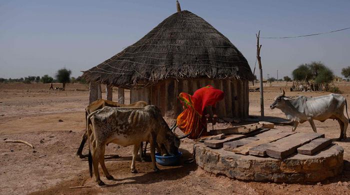 India learns to live with hotter summers