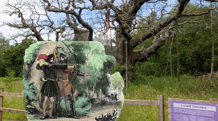 Sherwood Forest's 1,000-year-old Major Oak is dead: have long, dry summers taken their toll?