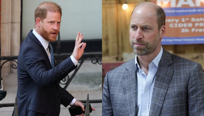 Prince William holds key talks as Harry UK return creates excitement