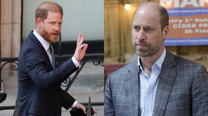 Prince William holds key talks as Harry UK return creates excitement  