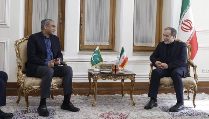 Interior Minister Mohsin Naqvi speaks during a meeting with Iranian Foreign Minister Abbas Araghchi in Tehran, Iran, June 20, 2026. — X/@PresstvExtra