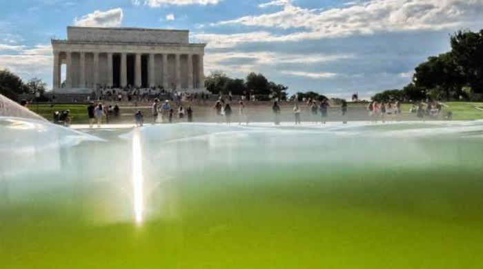 Trump defends reflecting pool project, blames ‘deranged' vandals 
