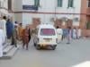 At least seven killed, three injured in twin blasts in Bannu
