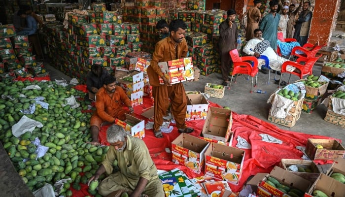 This photograph taken on June 5, 2026 shows workers packing mangoes at a market in Karachi. — AFP