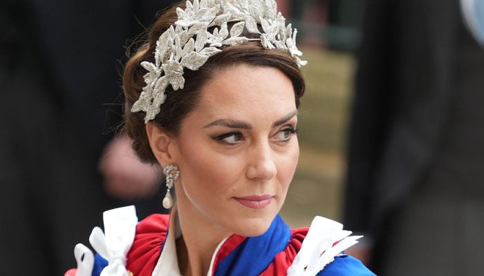 Reporter suffers scathing reaction from fans after Kate Middleton remark