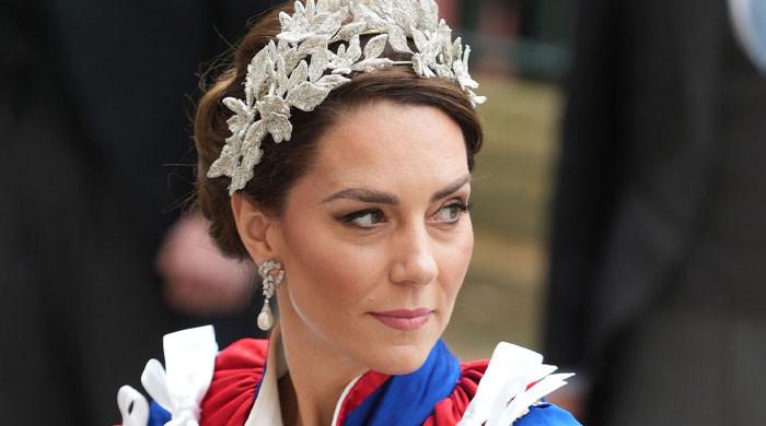 Reporter suffers scathing reaction from fans after Kate Middleton remark