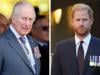 King Charles swallows bitter pill for Prince Harry despite hurtful move
