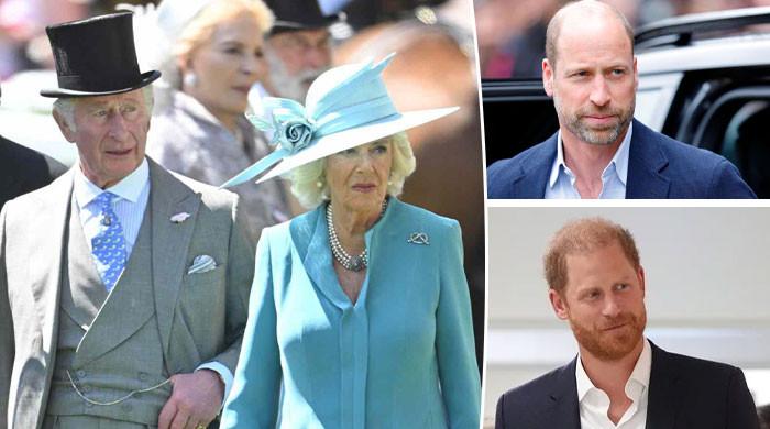 Queen Camilla true feelings on Princes William, Harry reunion laid bare