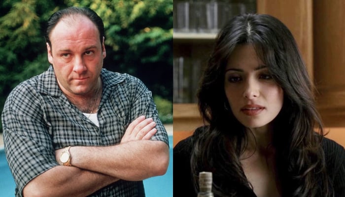 ‘Sopranos’ star James Gandolfini’s costar shares risqué experience with actor